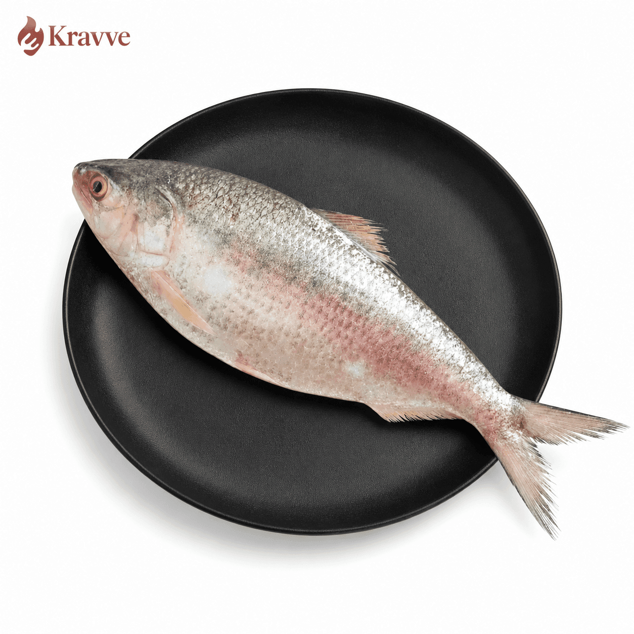 Hilsa / Eilish / Palla