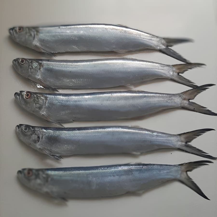 Karli fish kg