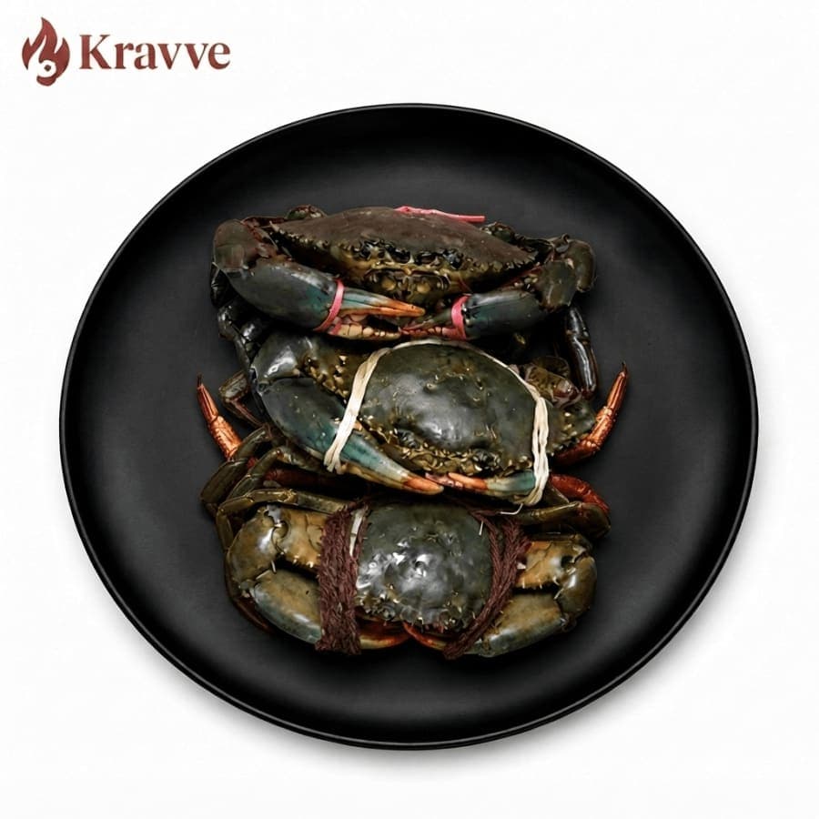 Mud Crab XL kg
