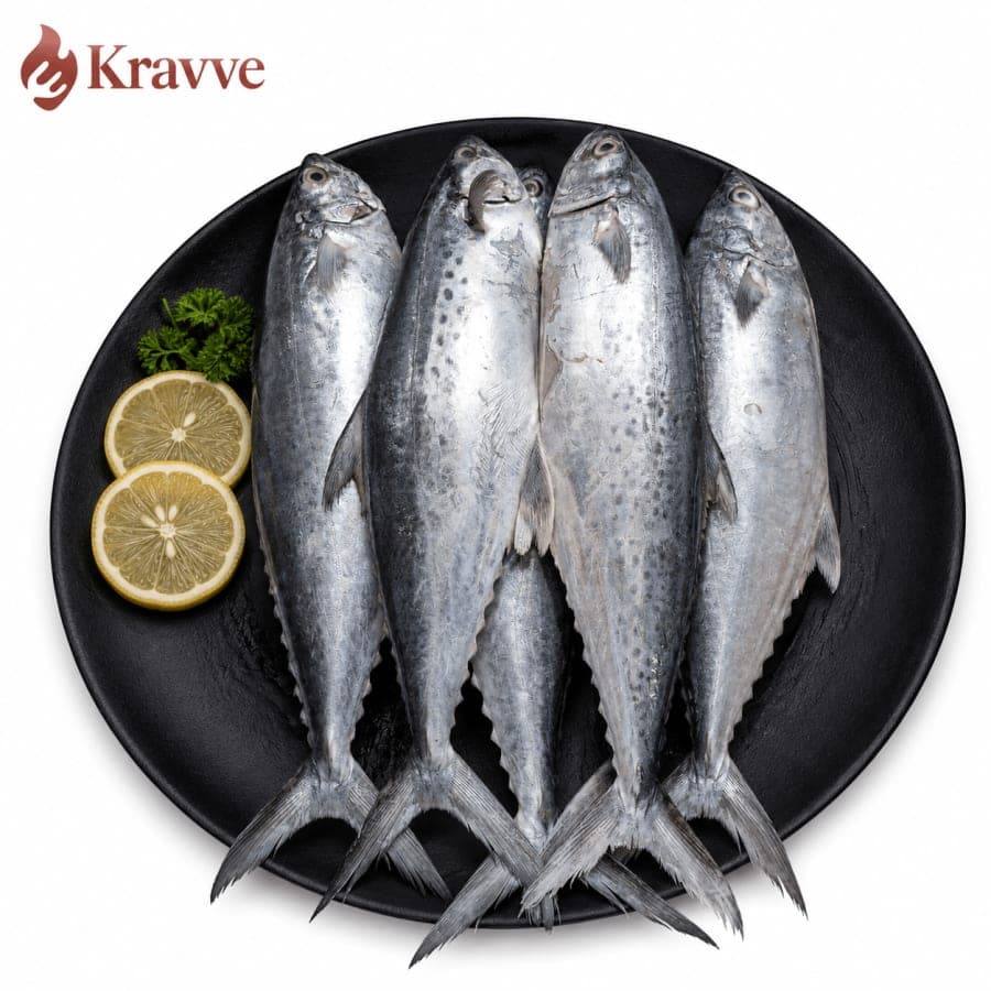 Baby Surmai King Fish 500- 700 gram kg