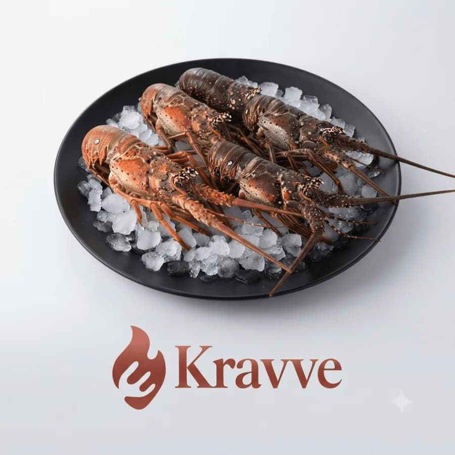 Lobster kg