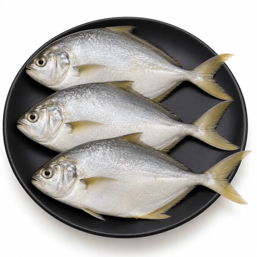 Fresh Soundale Fish (Butterfish) kg